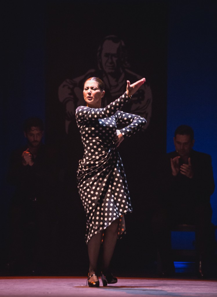 莎拉·巴拉斯：弗朗明哥的呼唤剧照的剧照