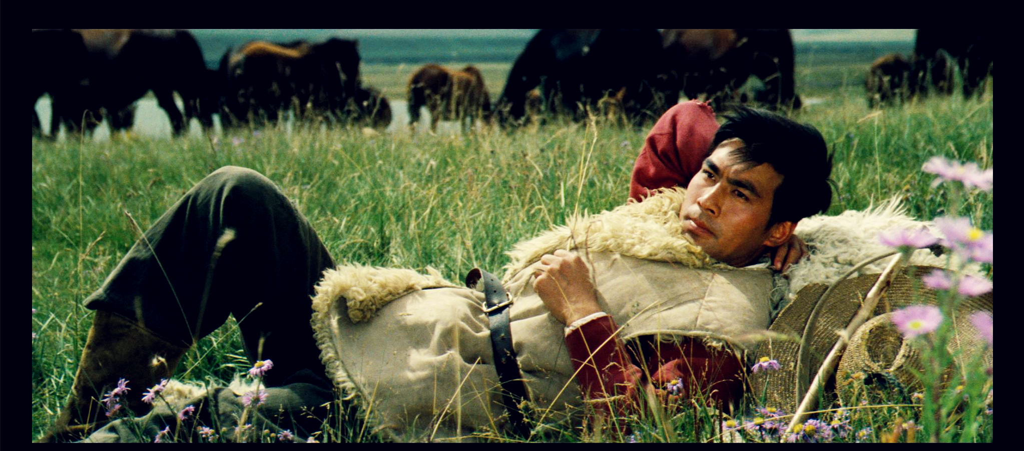 牧马人剧照的剧照