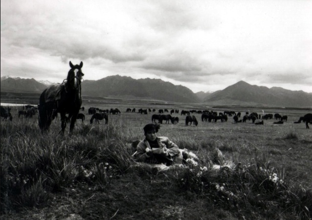 牧马人剧照的剧照