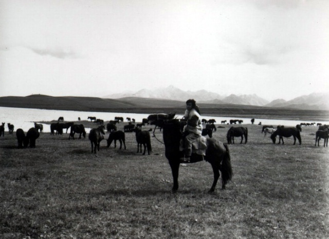 牧马人剧照的剧照