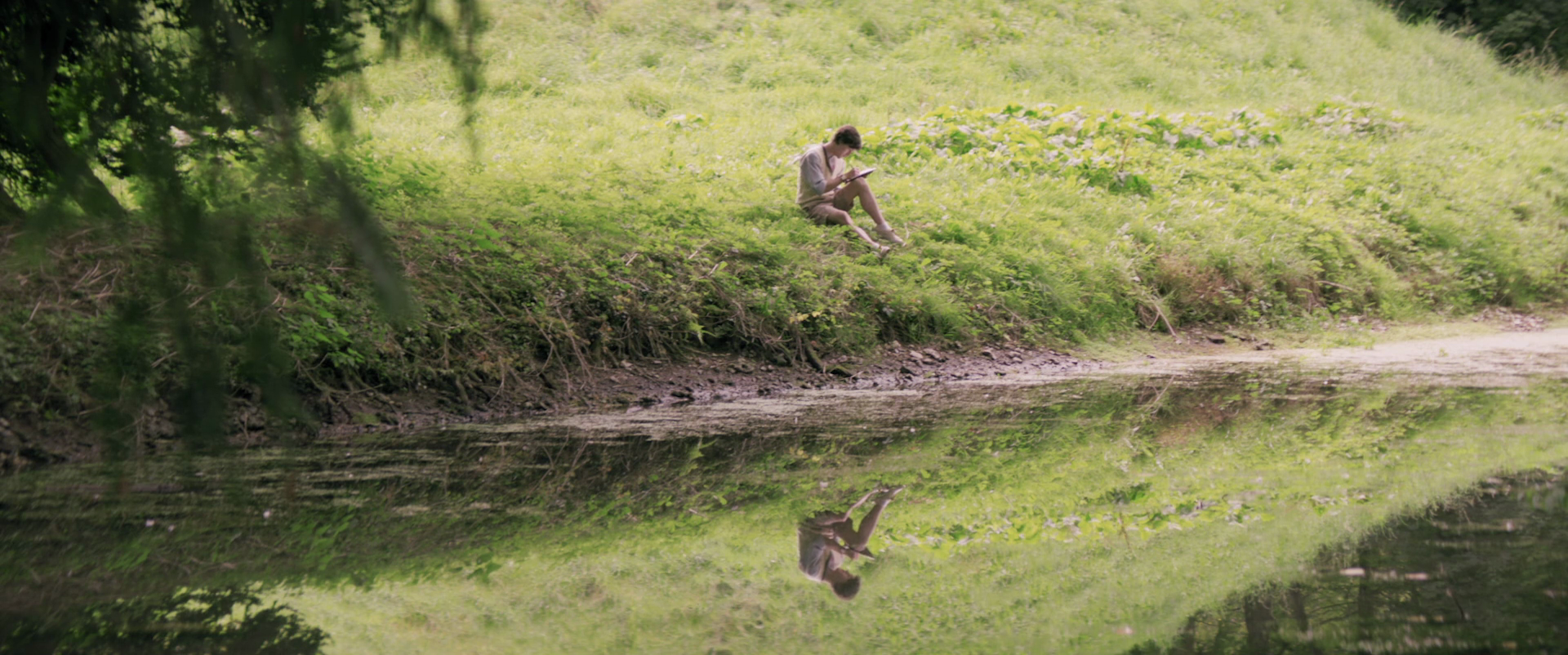 河马剧照的剧照