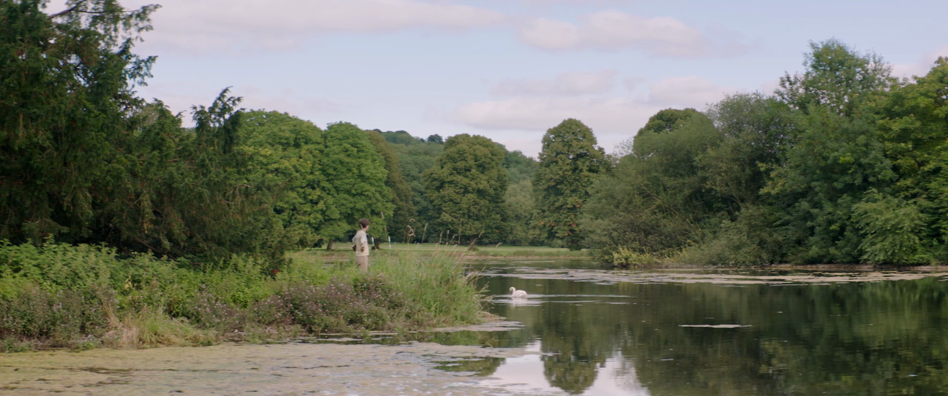 河马剧照的剧照