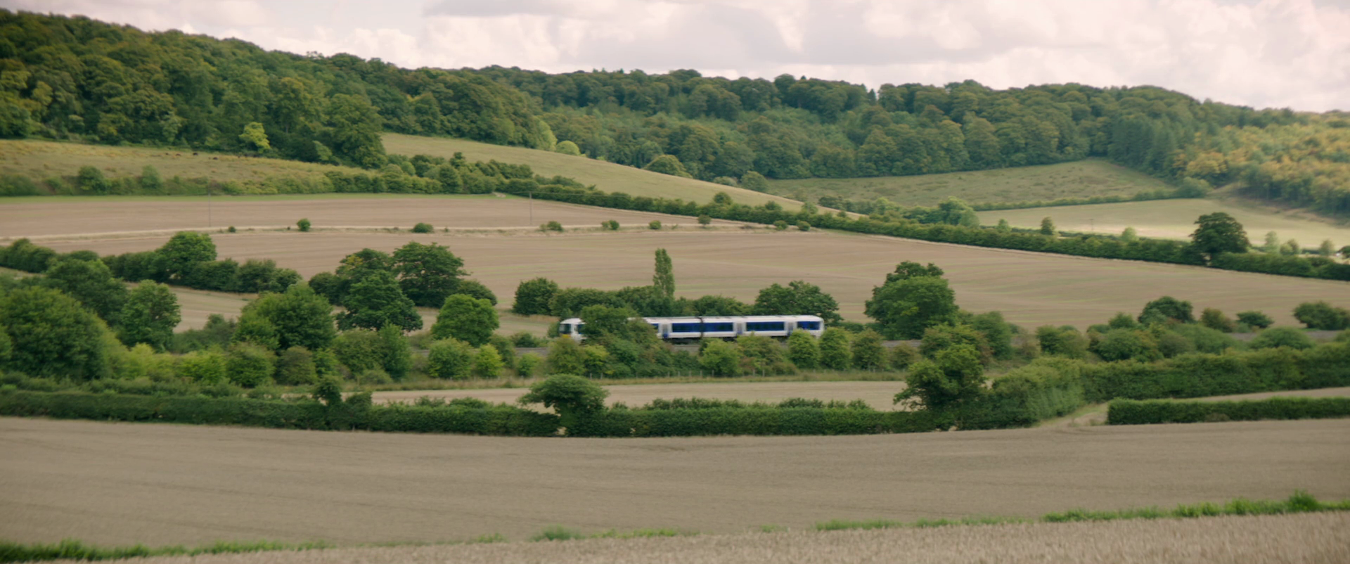 河马剧照的剧照