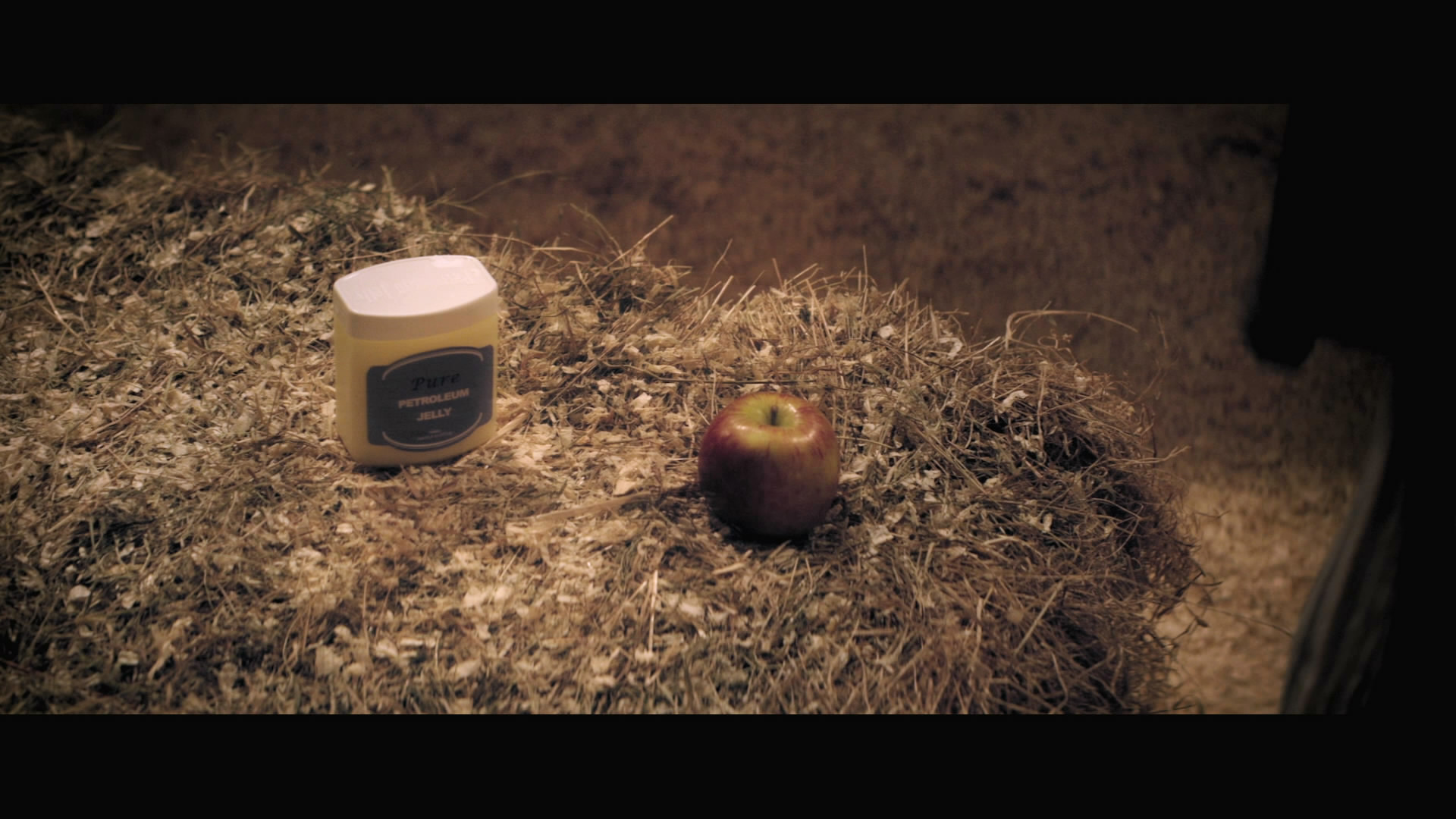 河马剧照的剧照