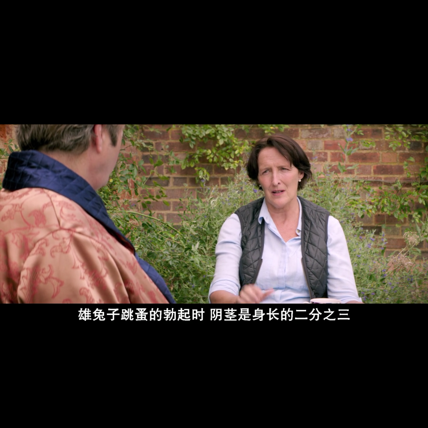 河马剧照的剧照