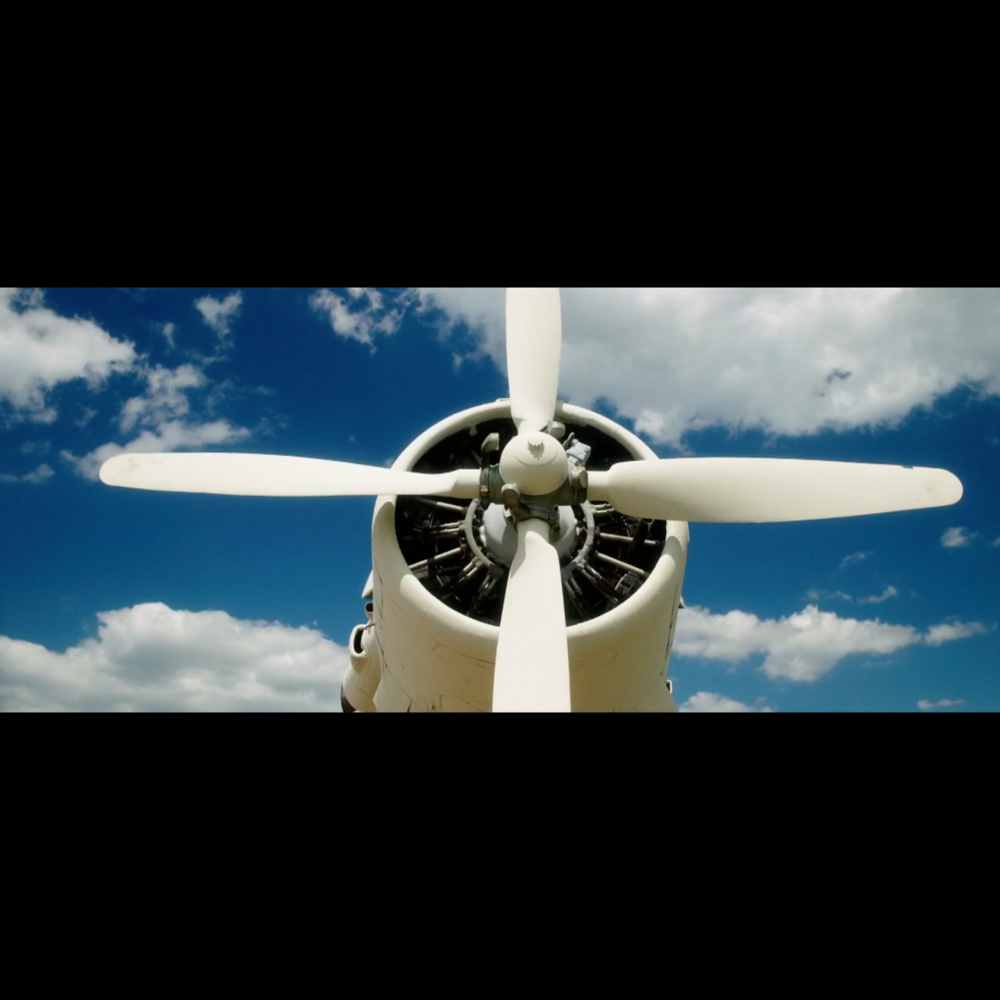 河马剧照的剧照