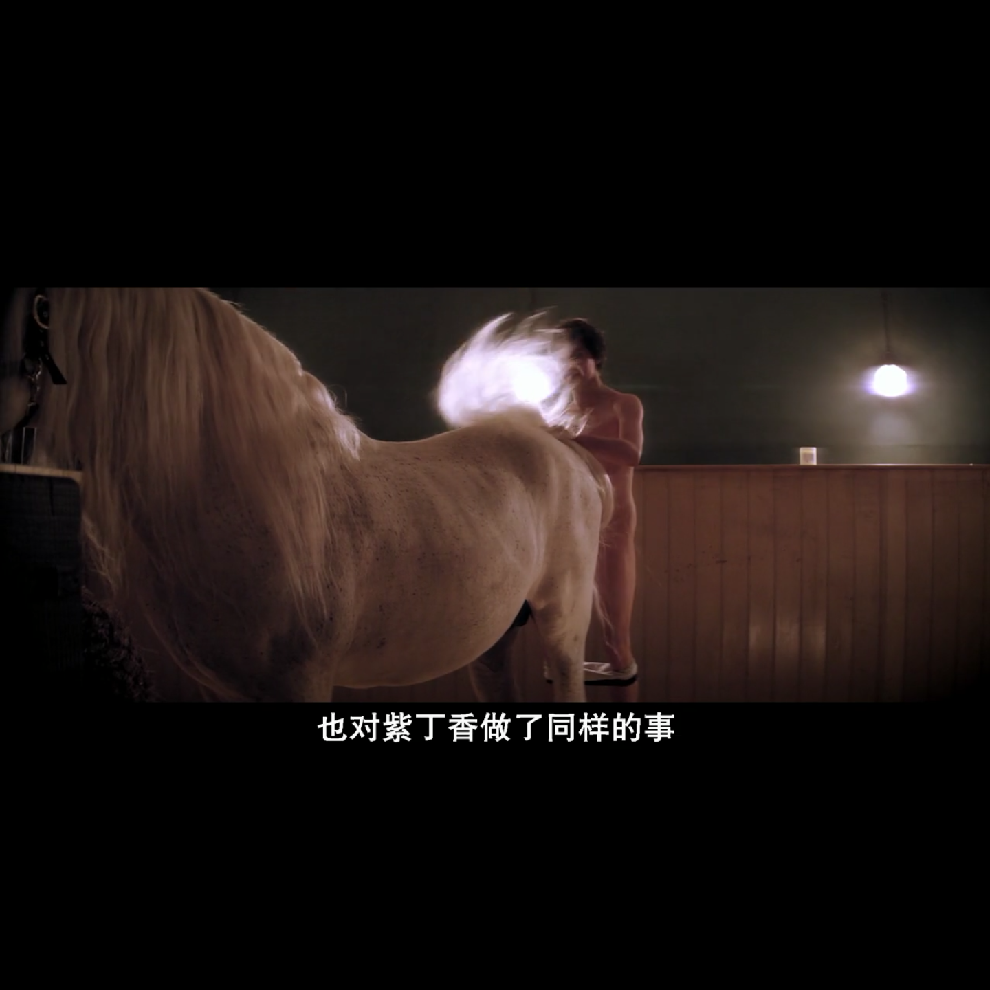 河马剧照的剧照