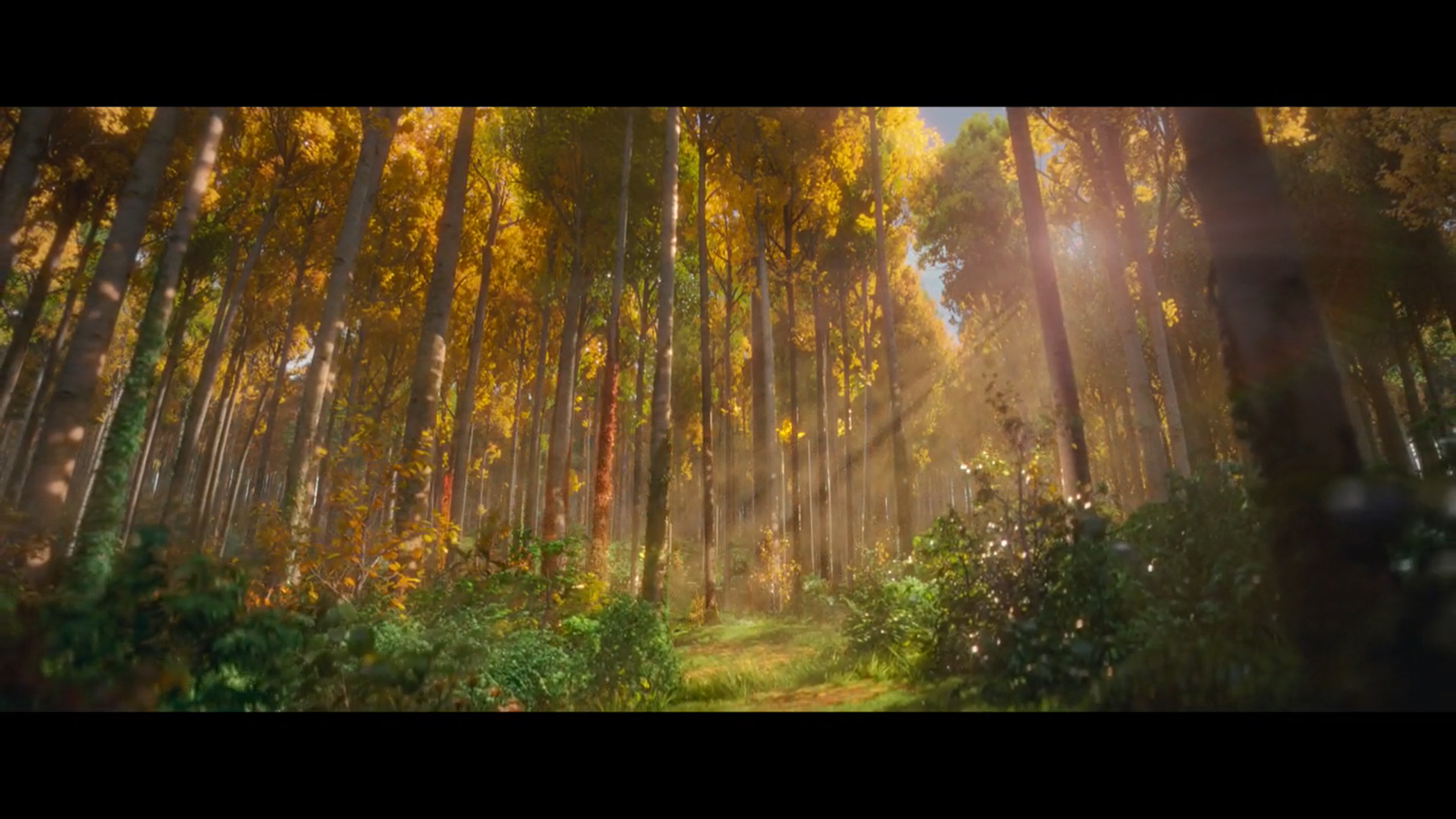 神奇乐园历险记剧照的剧照