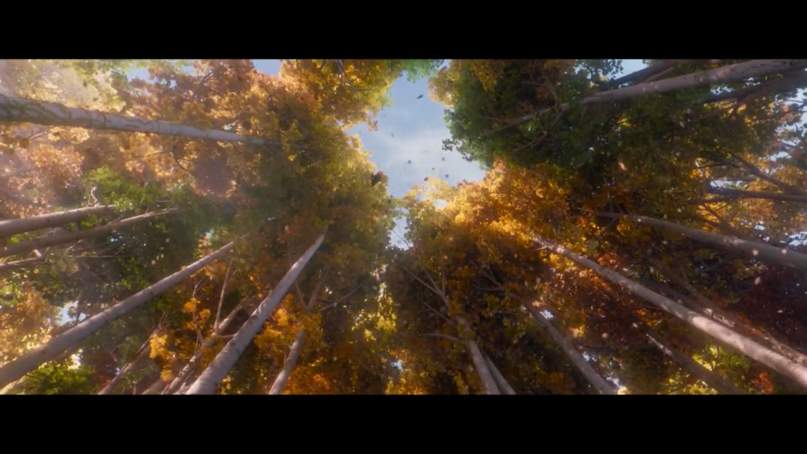 神奇乐园历险记剧照的剧照