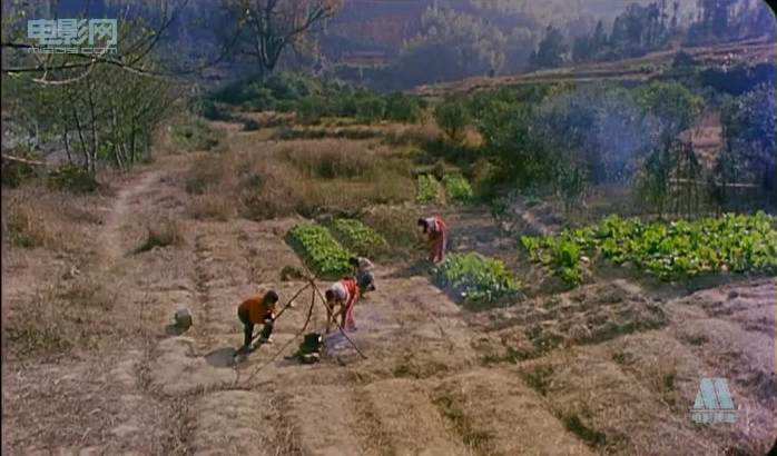 我们手拉手剧照的剧照