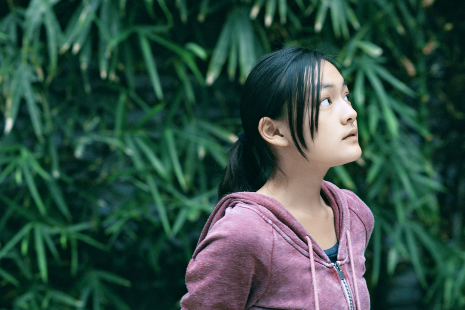 嘉年华剧照的剧照