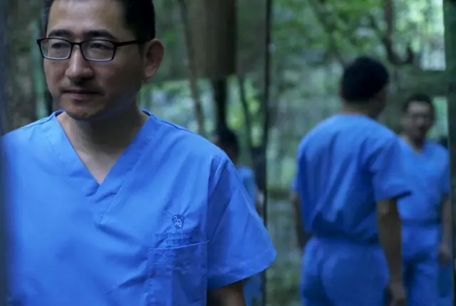 内心引力剧照的剧照