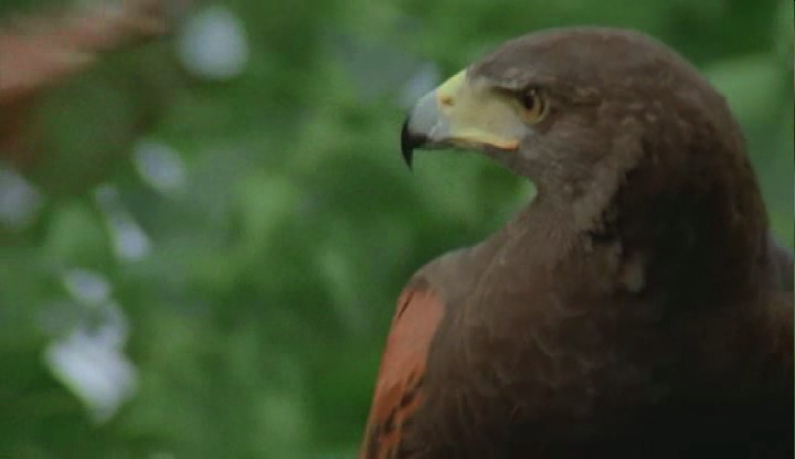 生人回避5剧照的剧照