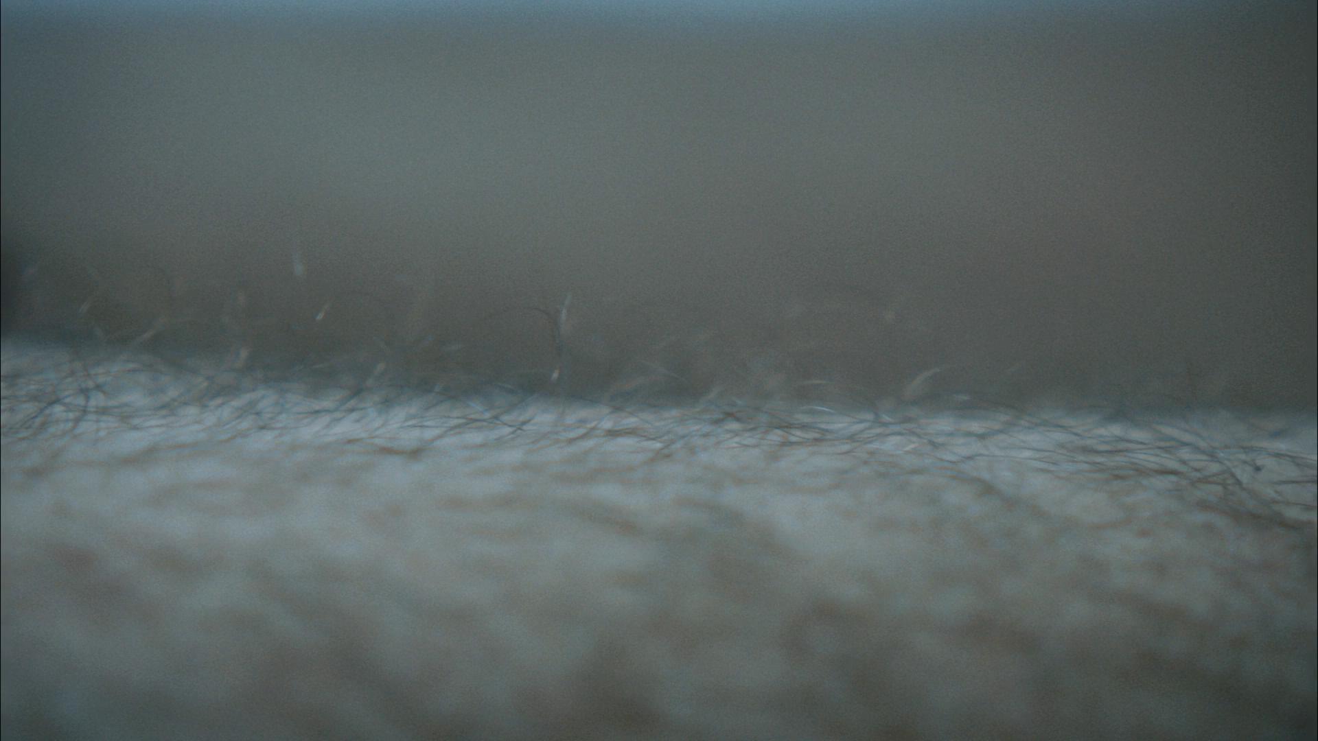 不要碰我剧照的剧照