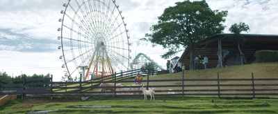 仙踪乐园剧照的剧照