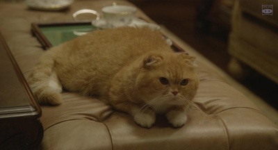 高台家的成员剧照的剧照