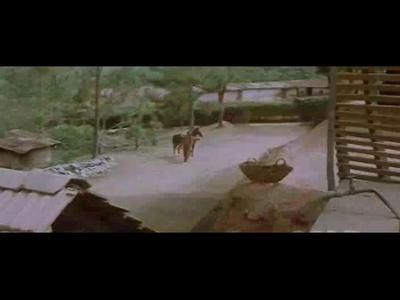 血洗鳄鱼仇剧照的剧照