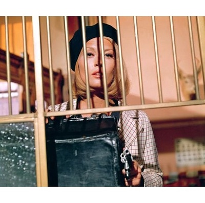 雌雄大盗剧照的剧照