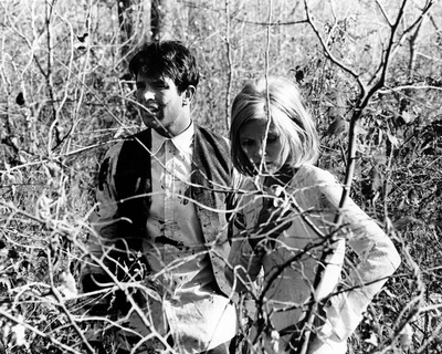 雌雄大盗剧照的剧照