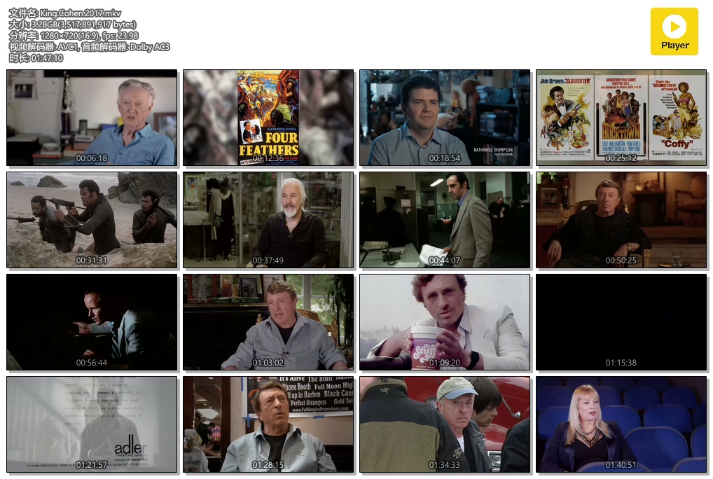 拉里·柯恩的狂野世界剧照的剧照