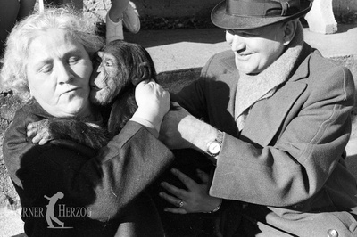 沉默与黑暗的世界剧照的剧照