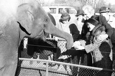 沉默与黑暗的世界剧照的剧照