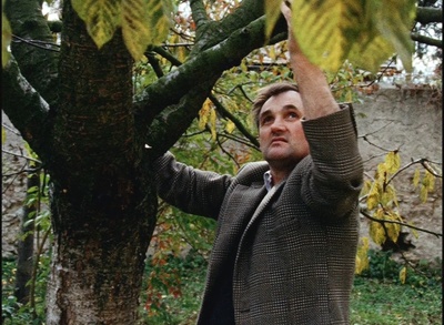 沉默与黑暗的世界剧照的剧照