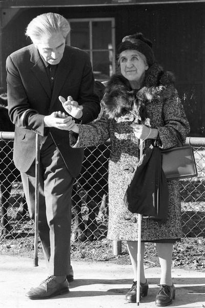 沉默与黑暗的世界剧照的剧照