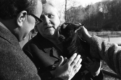 沉默与黑暗的世界剧照的剧照