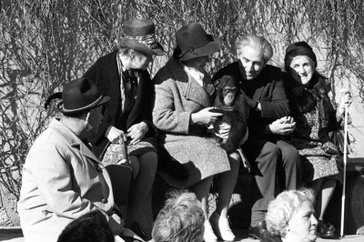 沉默与黑暗的世界剧照的剧照