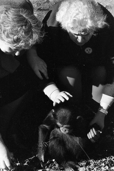 沉默与黑暗的世界剧照的剧照