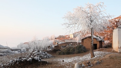 寒冷的高山有犀牛剧照的剧照