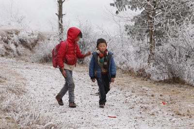 寒冷的高山有犀牛剧照的剧照