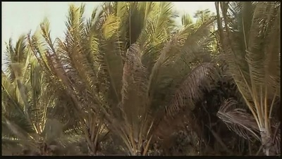 双狙人剧照的剧照