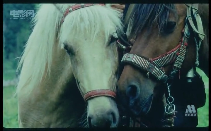 香巴拉信使剧照的剧照