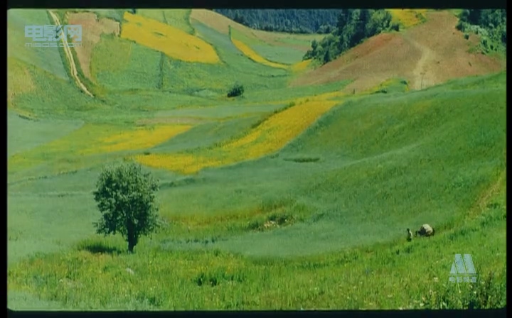 香巴拉信使剧照的剧照