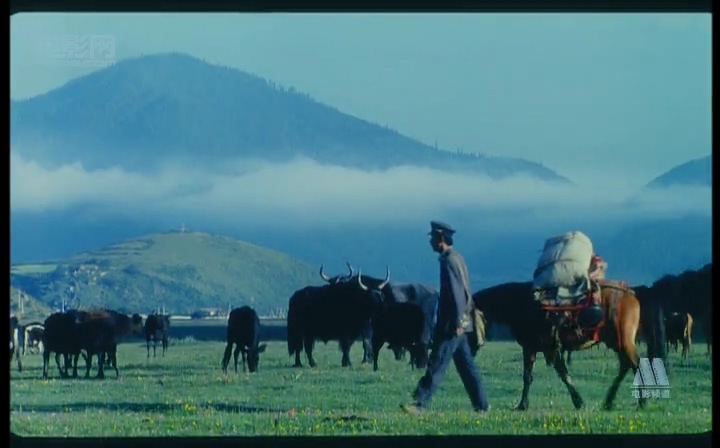 香巴拉信使剧照的剧照