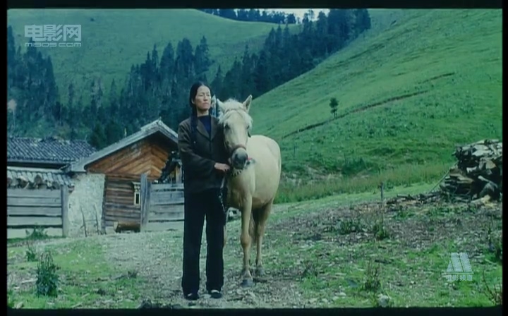 香巴拉信使剧照的剧照