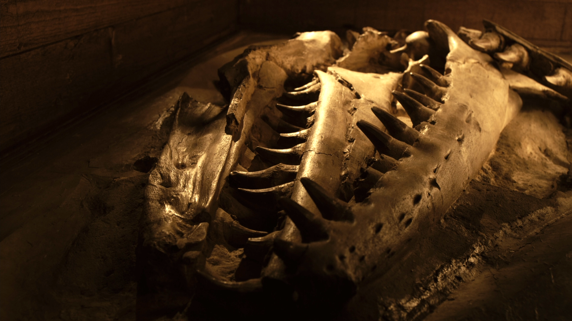 雷克斯海3D:史前世界剧照的剧照