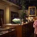 雷克斯海3D:史前世界剧照