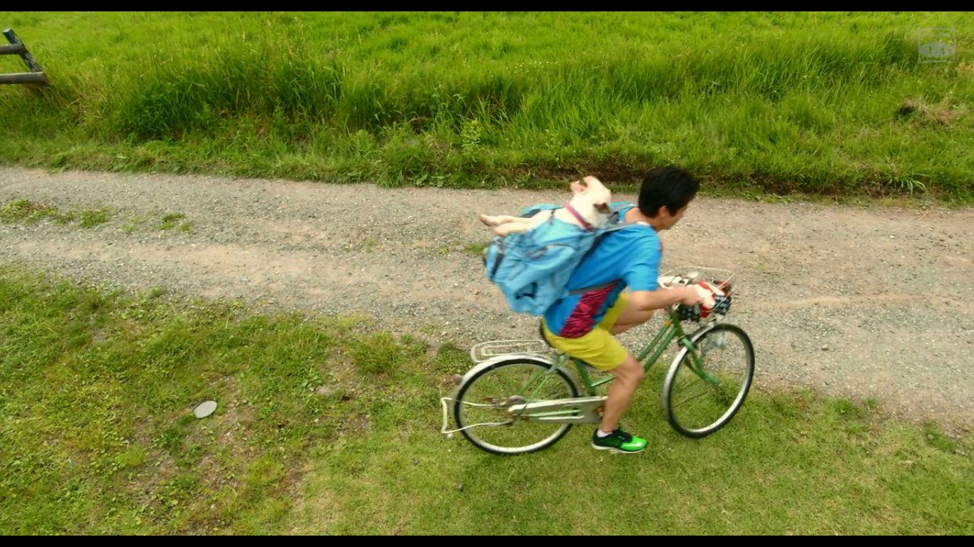 一吻定情电影版2：大学篇剧照的剧照