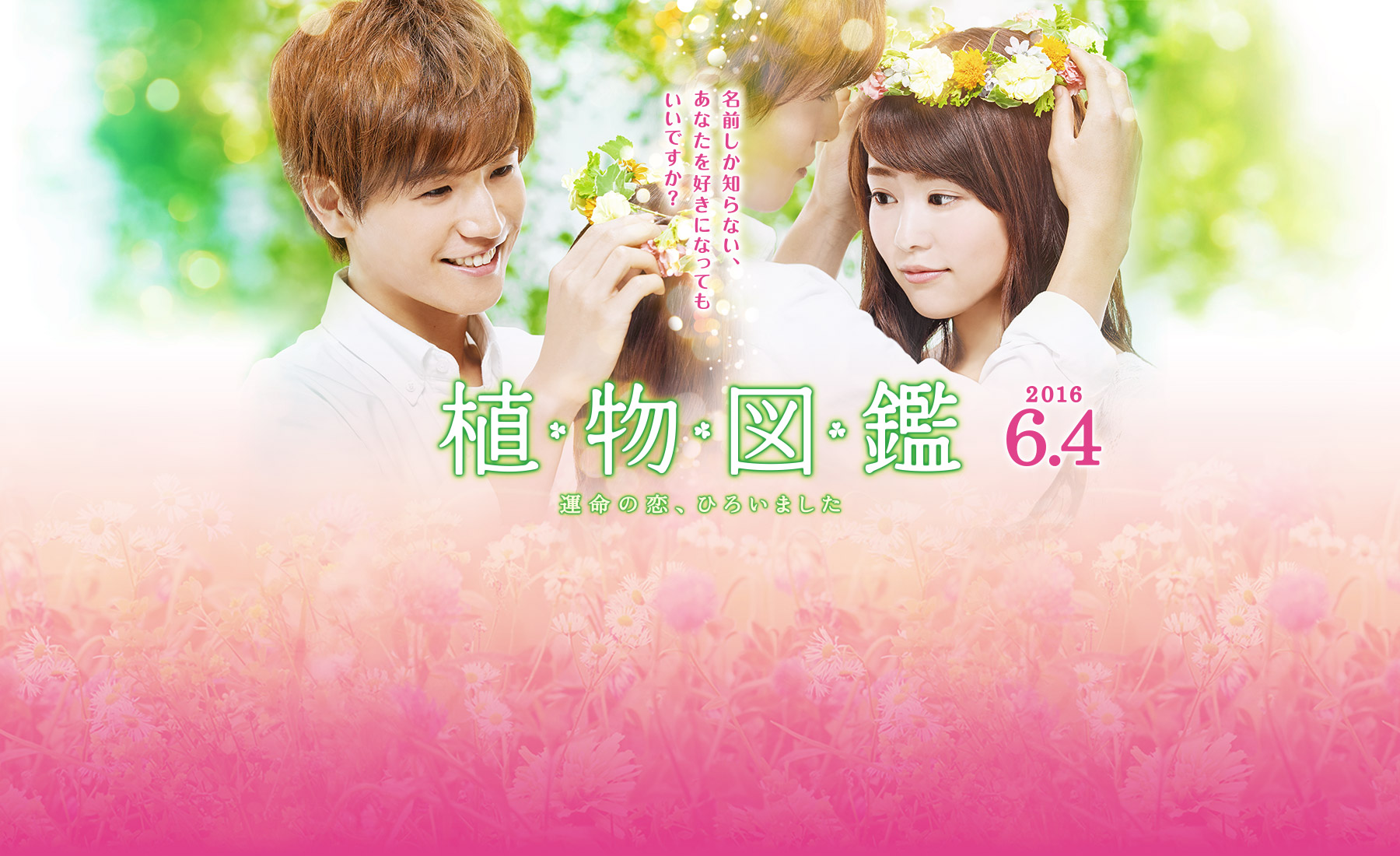 植物图鉴剧照的剧照