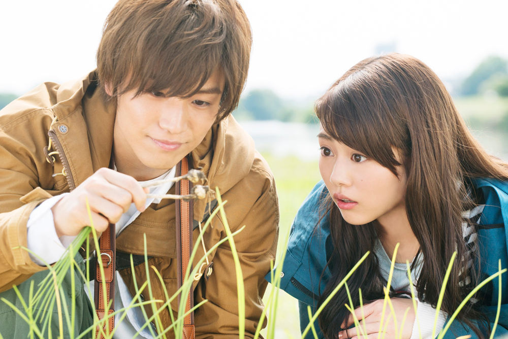 植物图鉴剧照的剧照