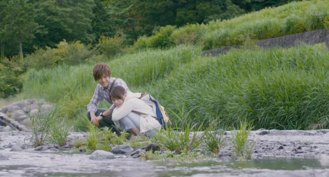 植物图鉴剧照的剧照