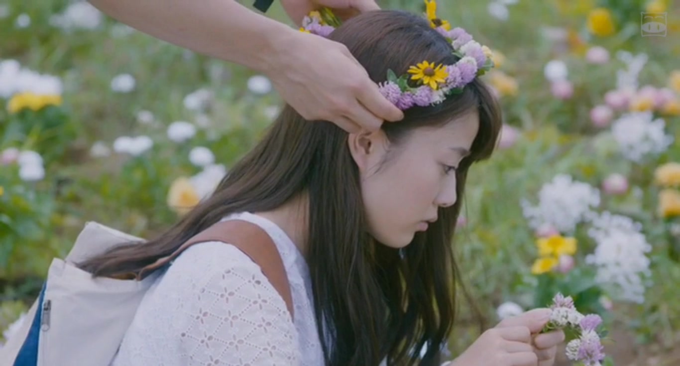 植物图鉴剧照的剧照