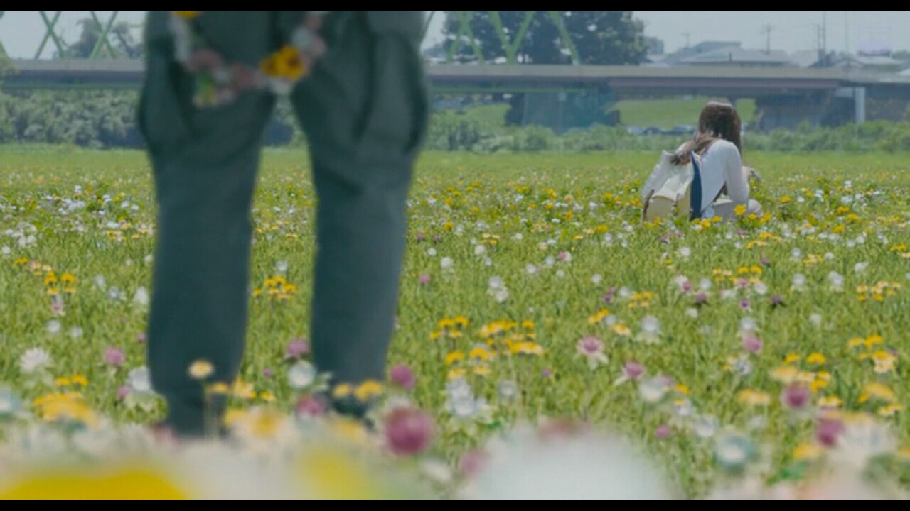 植物图鉴剧照的剧照