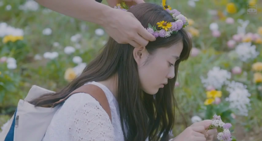 植物图鉴剧照的剧照