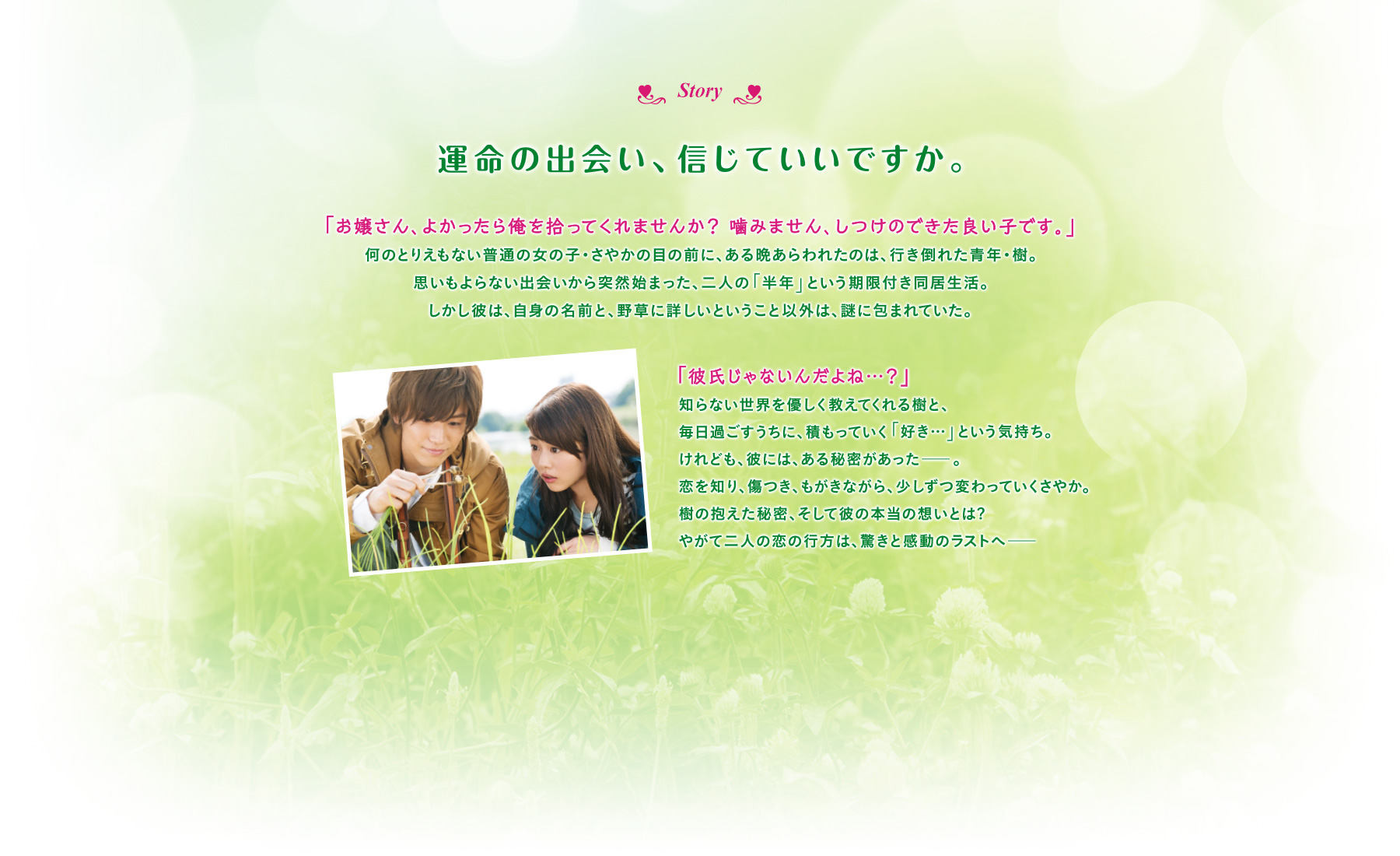 植物图鉴剧照的剧照