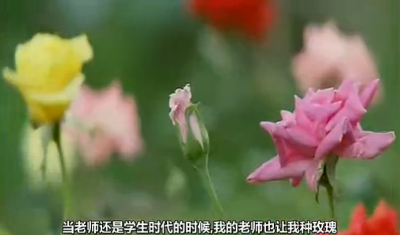 我的老师剧照的剧照