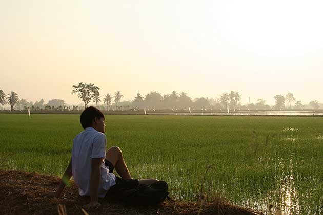 我的老师剧照的剧照